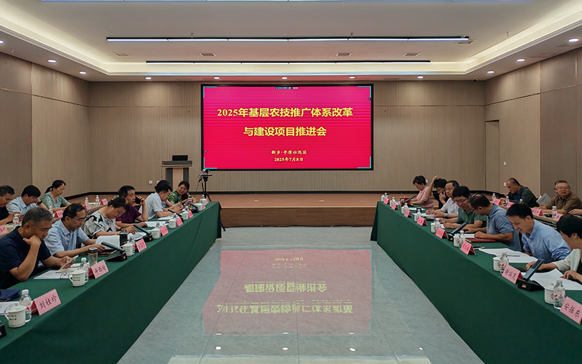 推进会.png