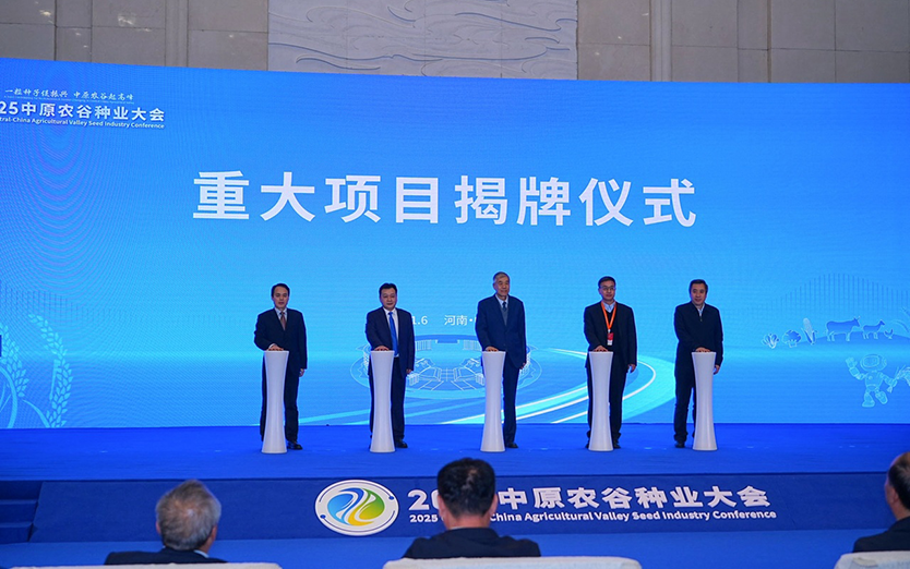 重大项目揭牌.png