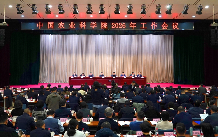 院工作会.jpg