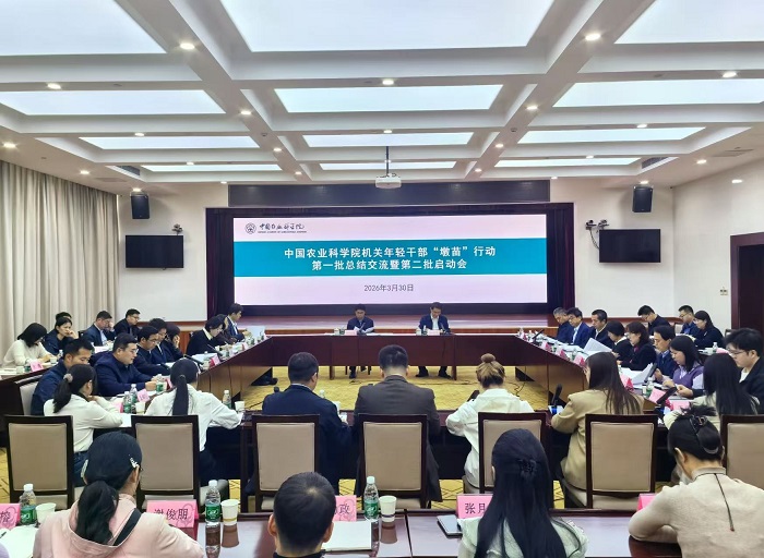 蹲苗图片.jpg