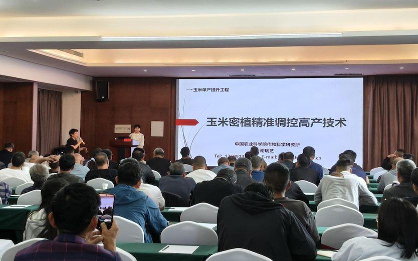图片 2.png
