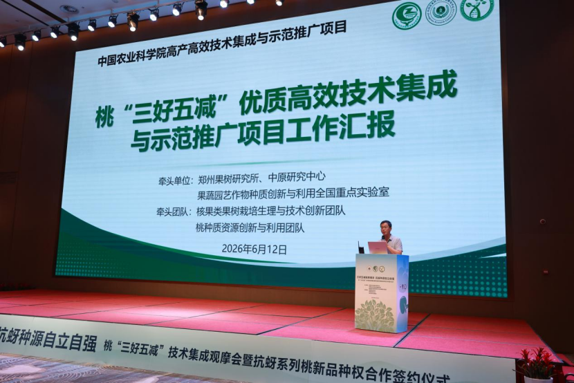 曾文芳汇报.png