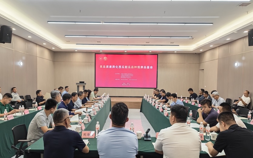 20260617会议.jpg